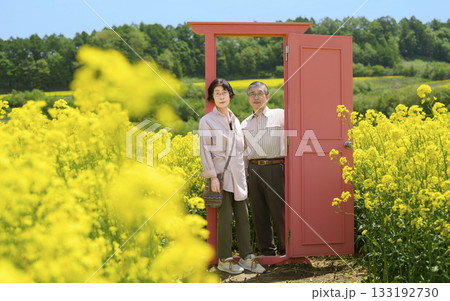 満開の菜の花畑を観光するシニアの夫婦(強レタッチver) 満開の菜の花畑を観光するシニアの夫婦(強レタッチver) 133192730