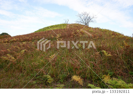 千葉県　龍角寺古墳群・岩屋古墳 133192811