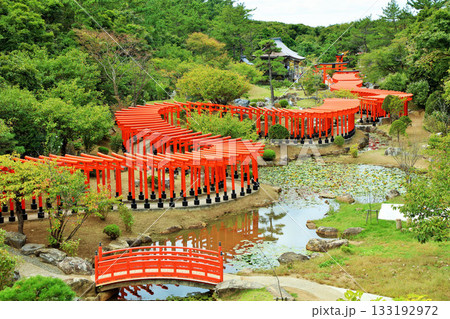 青森県 高山稲荷神社の千本鳥居 青森県 高山稲荷神社の千本鳥居 133192972