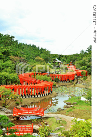 青森県　高山稲荷神社の千本鳥居 133192975