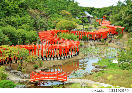 青森県 高山稲荷神社の千本鳥居 青森県 高山稲荷神社の千本鳥居 133192979