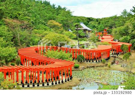 青森県 高山稲荷神社の千本鳥居 青森県 高山稲荷神社の千本鳥居 133192980