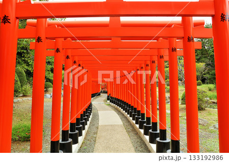 青森県　高山稲荷神社の千本鳥居 133192986