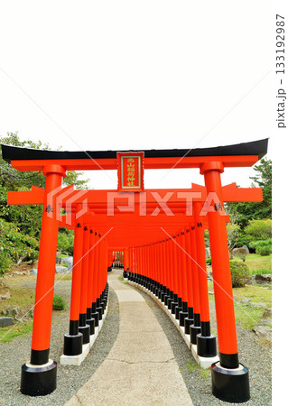 青森県 高山稲荷神社の千本鳥居 青森県 高山稲荷神社の千本鳥居 133192987
