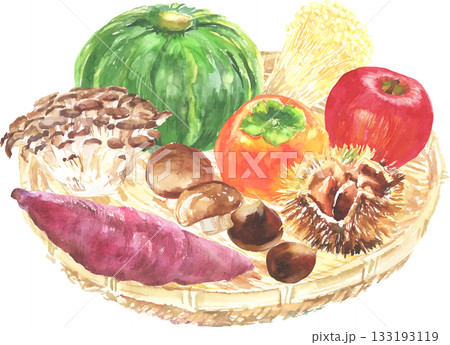 水彩で描いた秋の味覚 ベクター 水彩で描いた秋の味覚 ベクター 133193119