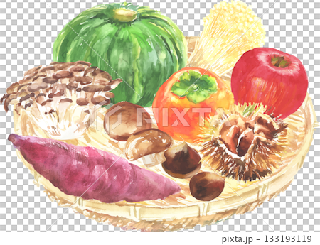 水彩で描いた秋の味覚 ベクター 水彩で描いた秋の味覚 ベクター 133193119