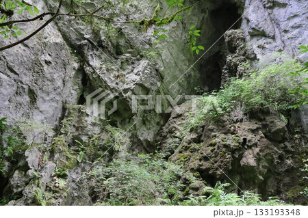 岡山県新見市草間の羅生門周辺 巨大な岩の壁 岡山県新見市草間の羅生門周辺 巨大な岩の壁 133193348