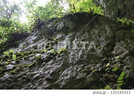 岡山県新見市草間の羅生門周辺　濡れた岩場 133193351
