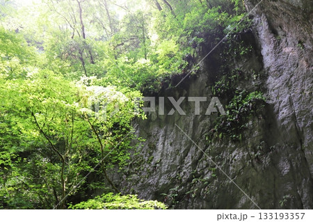 岡山県新見市草間の羅生門 133193357