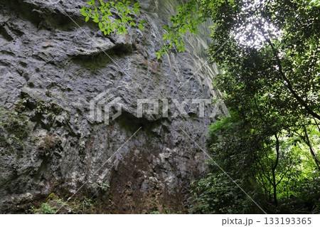 岡山県新見市草間の羅生門　第一門 133193365