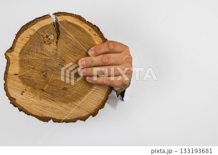 Hand holding a wooden log against a white background Hand holding a wooden log against a white background 133193681