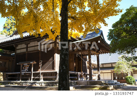 ひこにゃんの町 荒神山神社 ひこにゃんの町 荒神山神社 133193747