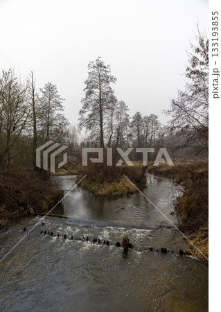 autumn trees without foliage and a river in the autumn season after leaf fall, a river and yellow plants in late autumn, a gray sky with clouds autumn trees without foliage and a river in the autumn season after leaf fall, a river and yellow plants in late autumn, a gray sky with clouds 133193855