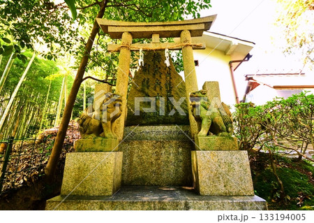 京都府　伏見稲荷大社　伏見神宝神社 八大龍王大神 権太夫大神 白竜大神　京都市伏見区深草藪之内町　 133194005