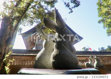 出雲大社・うさぎの石像（島根県・出雲市） 133194072