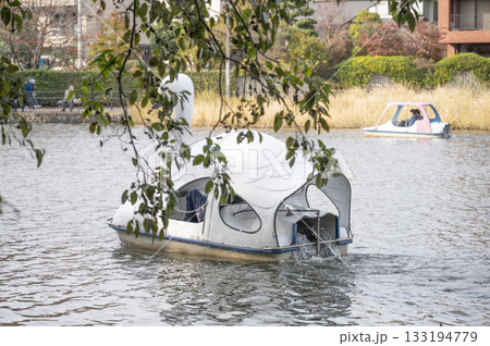 石神井公園ボート池のスワン 133194779