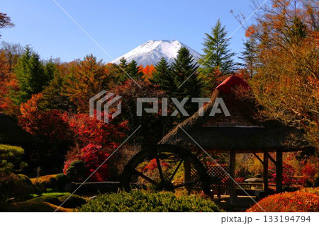 富士山をバックにした秋の忍野八海 富士山をバックにした秋の忍野八海 133194794