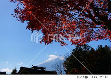 富士山と紅葉 富士山と紅葉 133194810