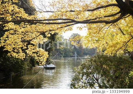 石神井公園ボート池 133194999