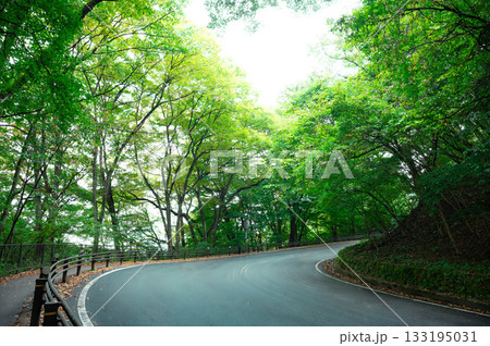 カーブする山道 カーブする山道 133195031