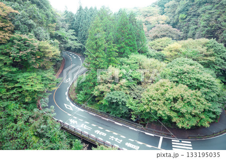 カーブする山道 カーブする山道 133195035