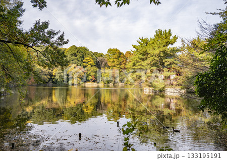 石神井公園三宝寺池 133195191