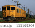 伯備線を走る115系電車 133195206