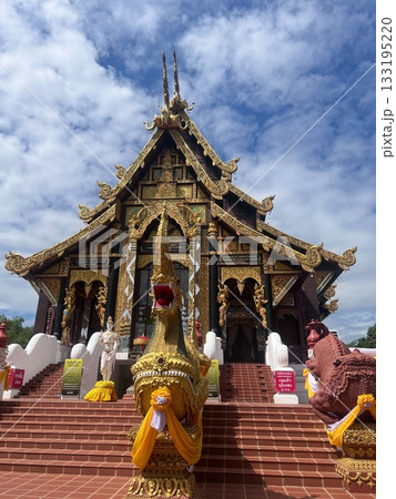 観光 見物 遊覧 133195220