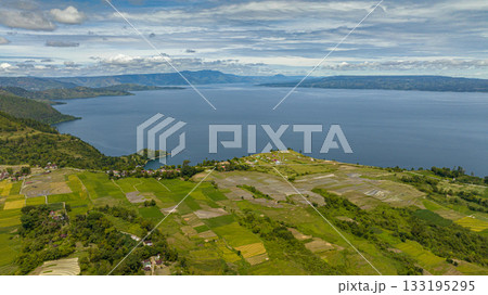 Rice fields and farmland on the shores of Lake Toba. Sumatra, Indonesia. 133195295