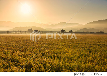 朝もやに輝く田園風景 133195370