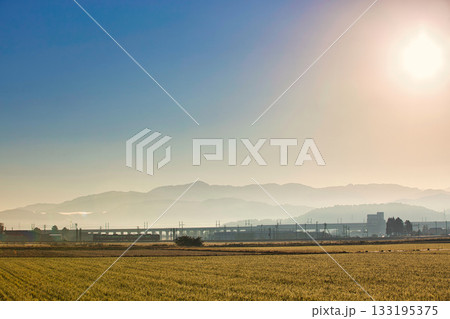 朝もやに輝く田園風景 朝もやに輝く田園風景 133195375