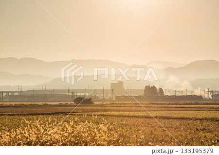 朝もやに輝く田園風景 133195379