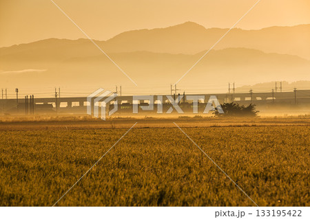 朝もやに輝く田園風景 朝もやに輝く田園風景 133195422