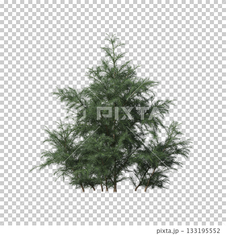deciduous tree, isolate on a transparent background, 3d illustration 133195552