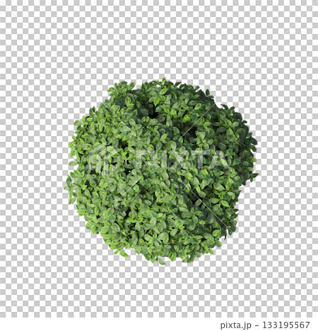 deciduous tree, isolate on a transparent background, 3d illustration 133195567