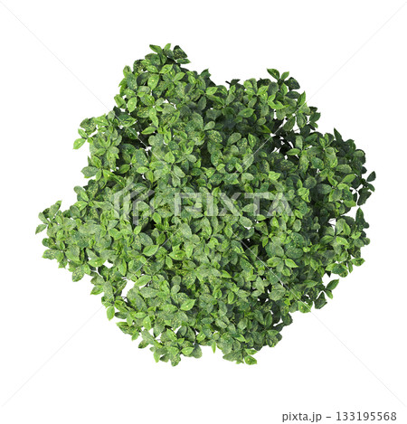 deciduous tree, isolate on a transparent background, 3d illustration 133195568