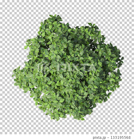 deciduous tree, isolate on a transparent background, 3d illustration 133195568