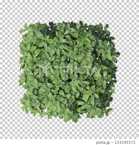 deciduous tree, isolate on a transparent background, 3d illustration 133195571