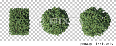 deciduous tree, isolate on a transparent background, 3d illustration deciduous tree, isolate on a transparent background, 3d illustration 133195615