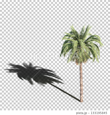 large tree with a shadow under it, isolated on a transparent background, 3D illustration, cg render large tree with a shadow under it, isolated on a transparent background, 3D illustration, cg render 133195845