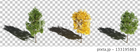 large tree with a shadow under it, isolated on a transparent background, 3D illustration, cg render large tree with a shadow under it, isolated on a transparent background, 3D illustration, cg render 133195863