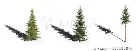 large tree with a shadow under it, isolated on a transparent background, 3D illustration, cg render large tree with a shadow under it, isolated on a transparent background, 3D illustration, cg render 133195876