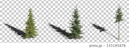 large tree with a shadow under it, isolated on a transparent background, 3D illustration, cg render large tree with a shadow under it, isolated on a transparent background, 3D illustration, cg render 133195876