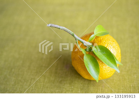冬の香りづけ食材の柚子は料理のあしらいや、冬至の柚子風呂で温まる日本の冬の黄色い果実 133195913