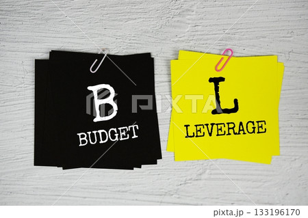 FL - Financial Leverage text on stick note on concrete background 133196170
