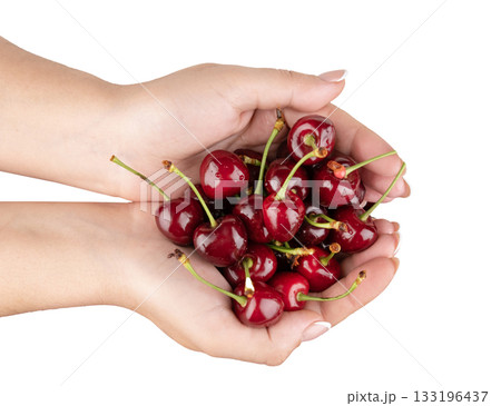 A handful of cherries in the palms of a girl against the background of cherries 133196437