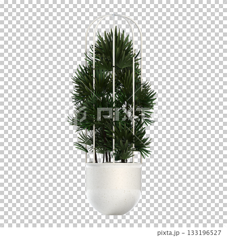 decorative flower in a pot isolate on a transparent background, 3D illustration, cg render 133196527