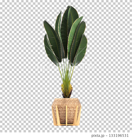 decorative flower in a pot isolate on a transparent background, 3D illustration, cg render decorative flower in a pot isolate on a transparent background, 3D illustration, cg render 133196531