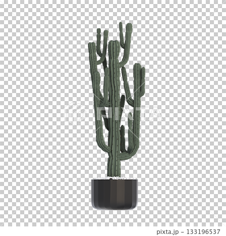 decorative flower in a pot isolate on a transparent background, 3D illustration, cg render decorative flower in a pot isolate on a transparent background, 3D illustration, cg render 133196537