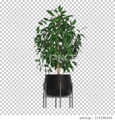 decorative flower in a pot isolate on a transparent background, 3D illustration, cg render decorative flower in a pot isolate on a transparent background, 3D illustration, cg render 133196540